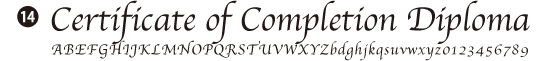 No.14　欧文書体04　(日本語は使用できません）