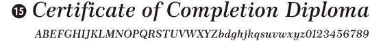 No.15　欧文書体05　(日本語は使用できません）