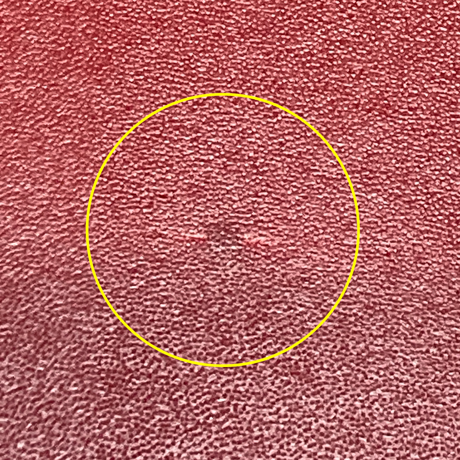 染ムラ例1(RD29、BR157)