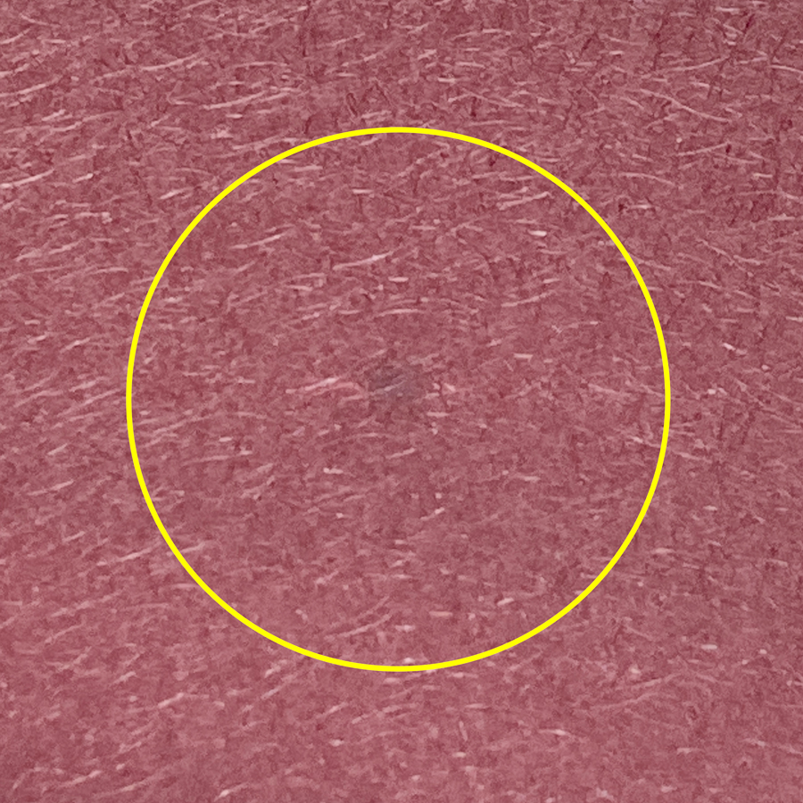 染ムラ例3(WR280)